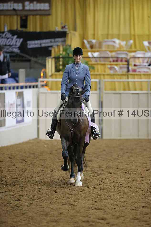 Proof 14usn_02876