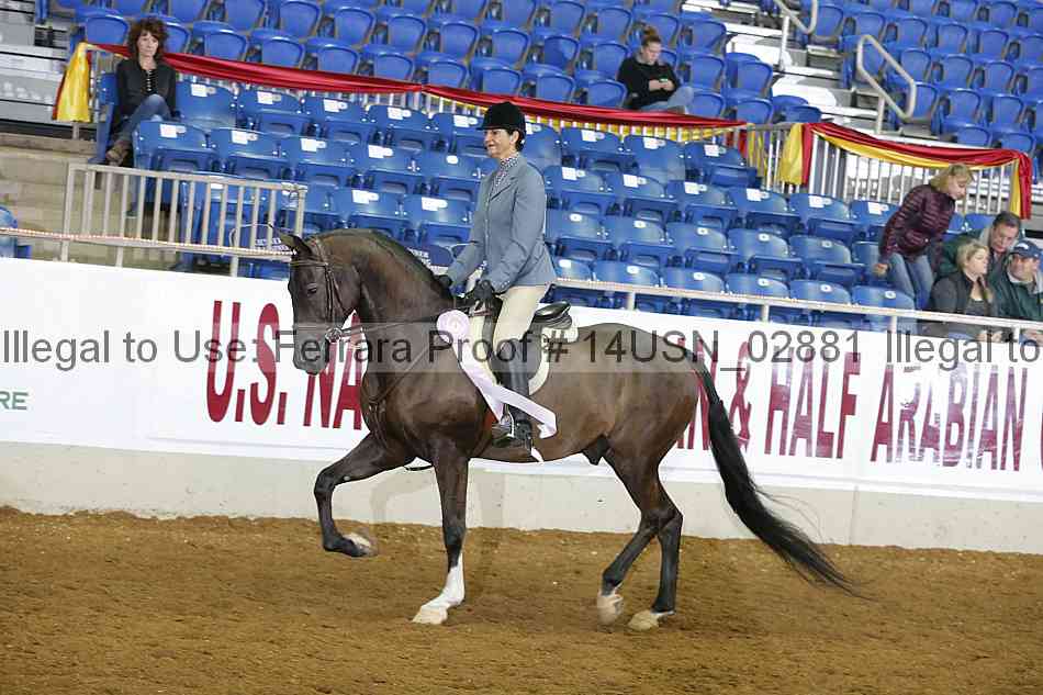 Proof 14usn_02881