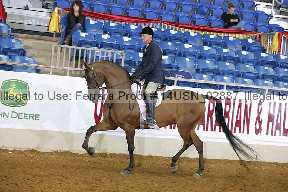 Proof 14usn_02887