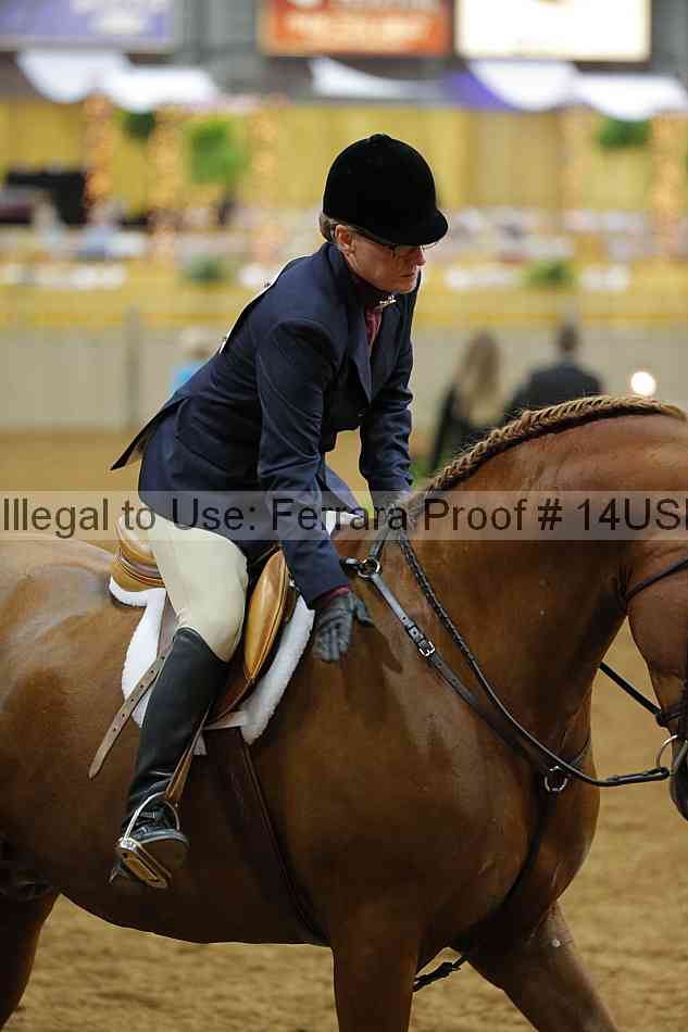 Proof 14usn_02892