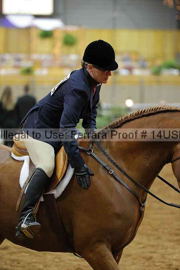 Proof 14usn_02893
