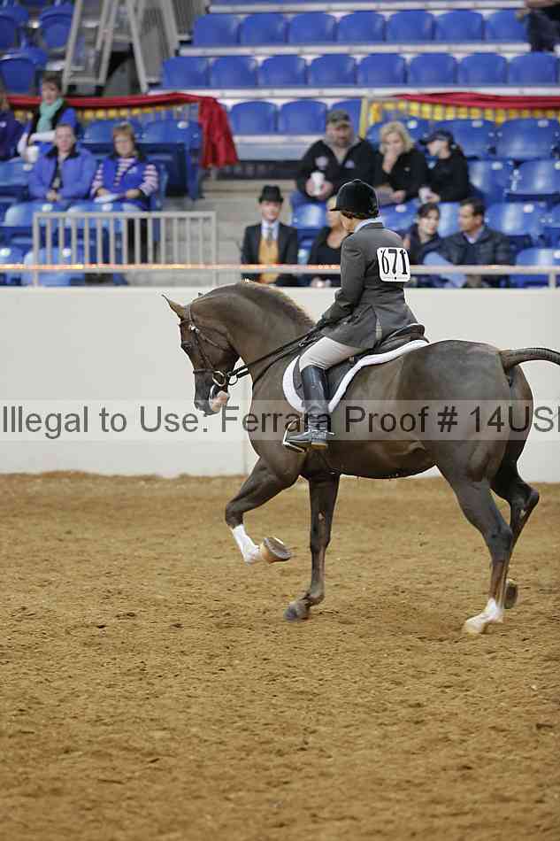 Proof 14usn_02897