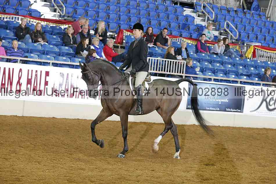 Proof 14usn_02898