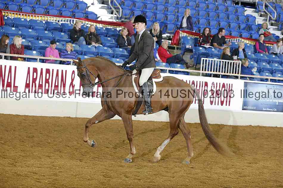 Proof 14usn_02903