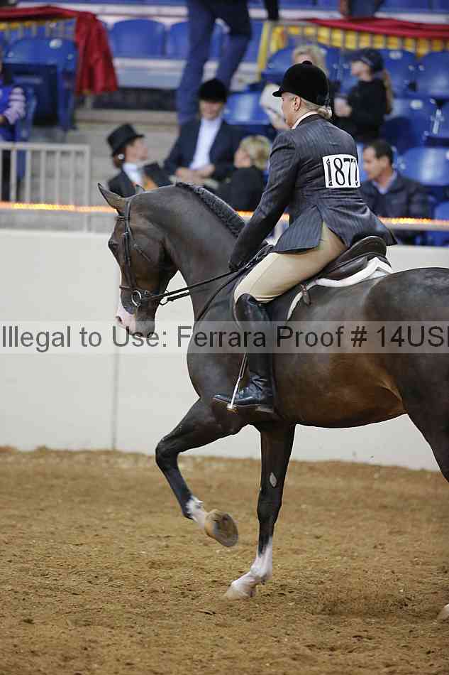 Proof 14usn_02905