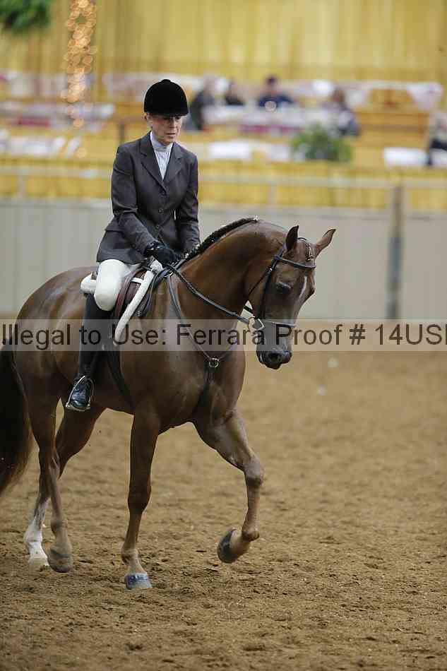 Proof 14usn_02907