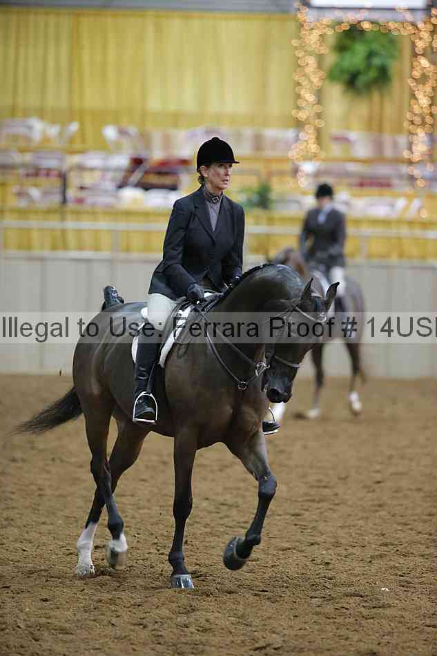 Proof 14usn_02913