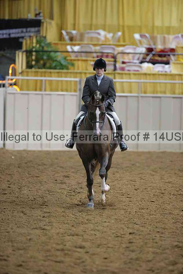 Proof 14usn_02917