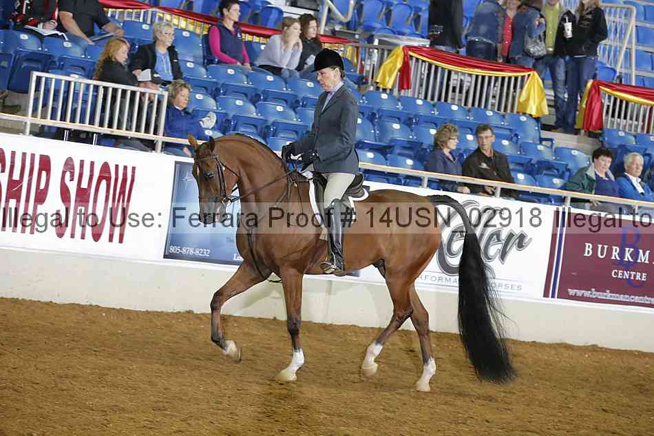 Proof 14usn_02918