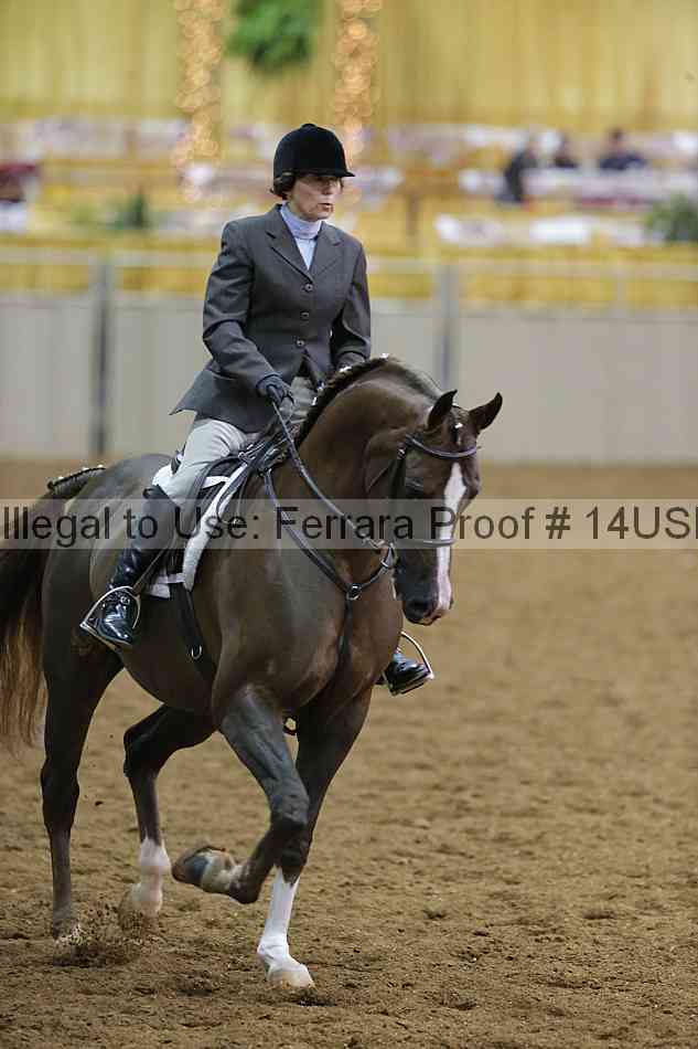 Proof 14usn_02919