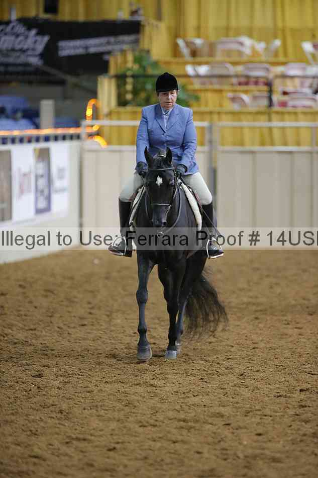 Proof 14usn_02934