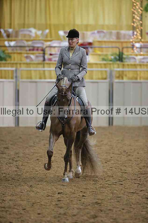 Proof 14usn_02949
