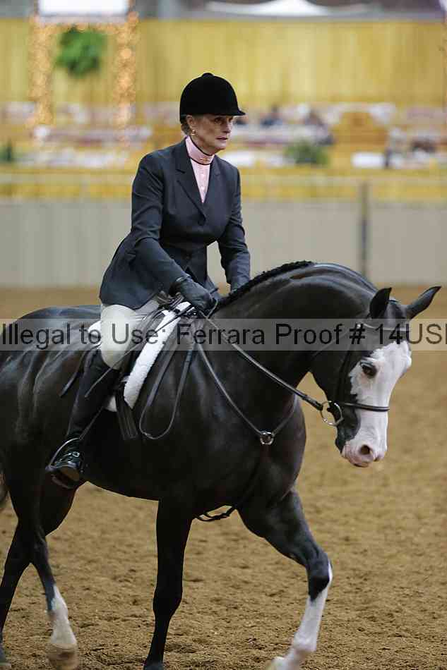 Proof 14usn_02952