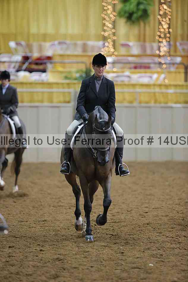 Proof 14usn_02955