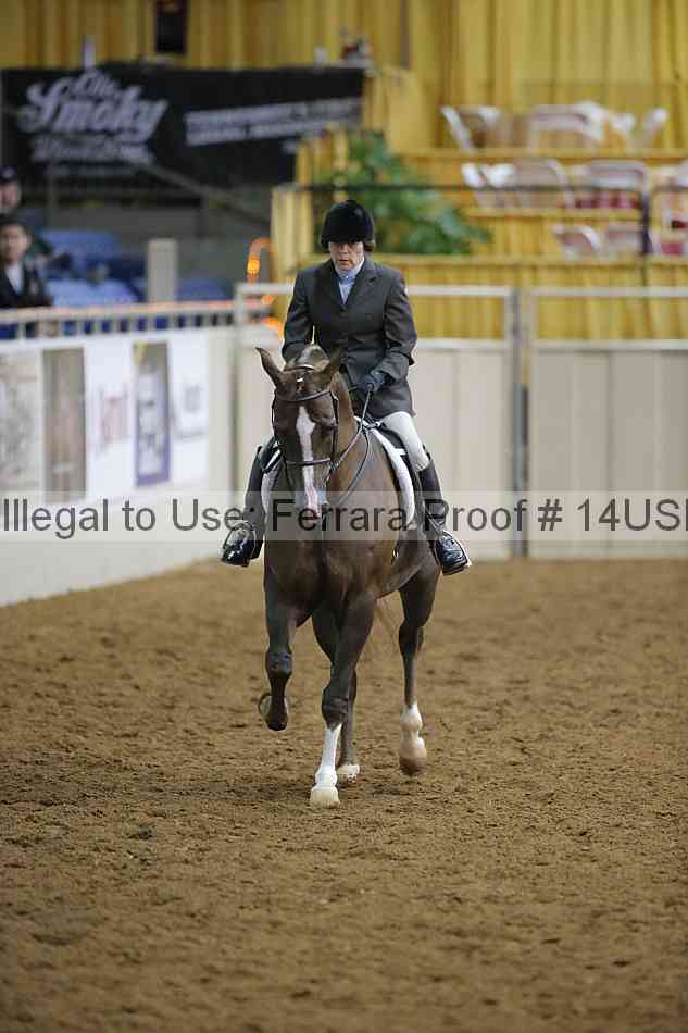 Proof 14usn_02956