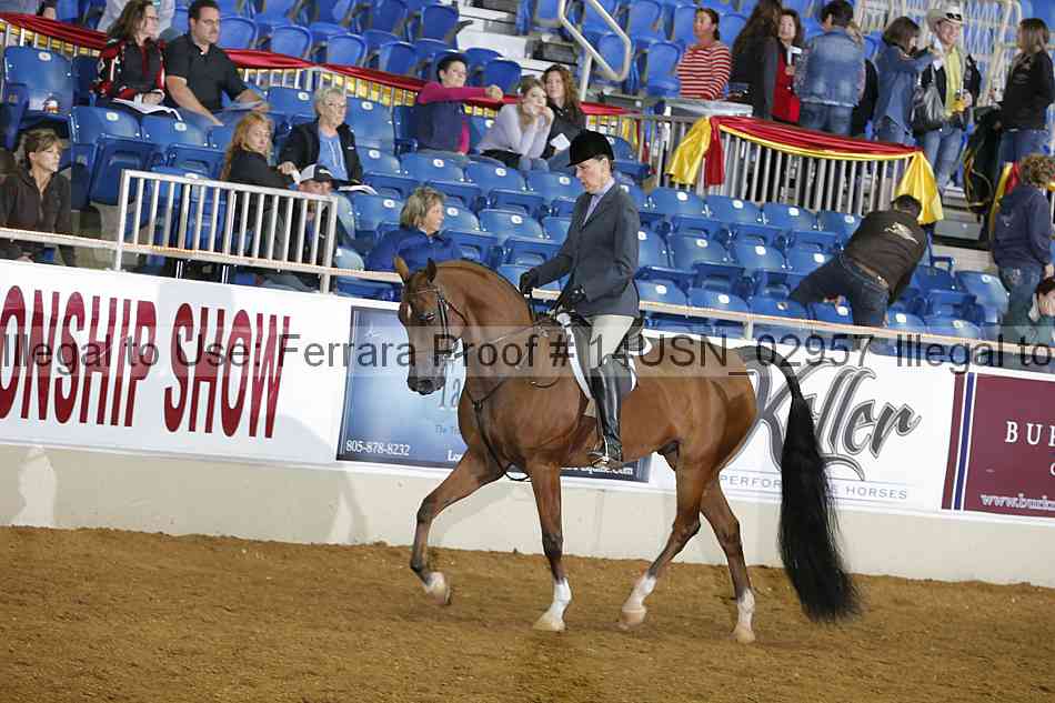 Proof 14usn_02957