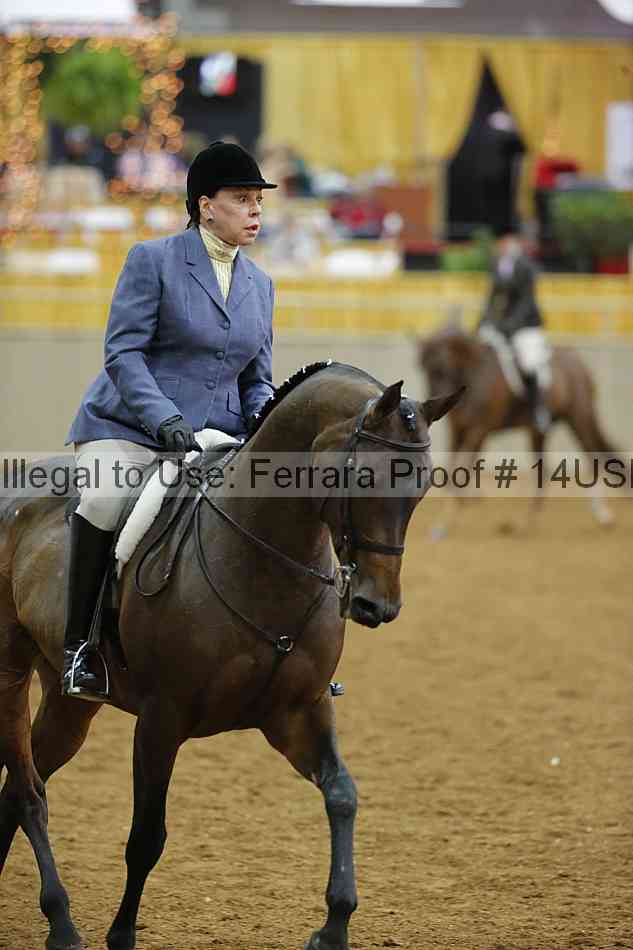 Proof 14usn_02961