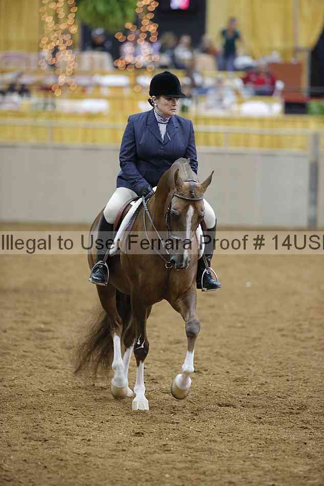 Proof 14usn_02962