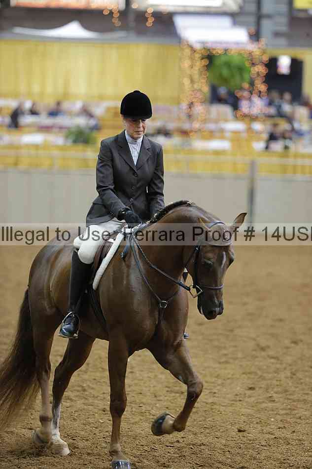Proof 14usn_02964