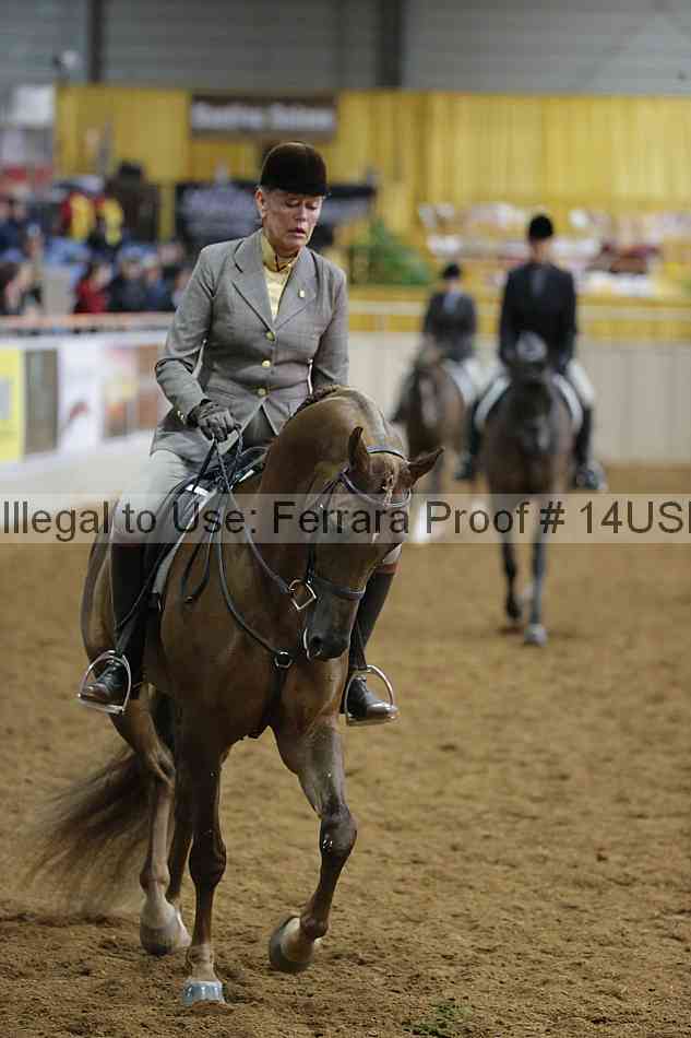 Proof 14usn_02966
