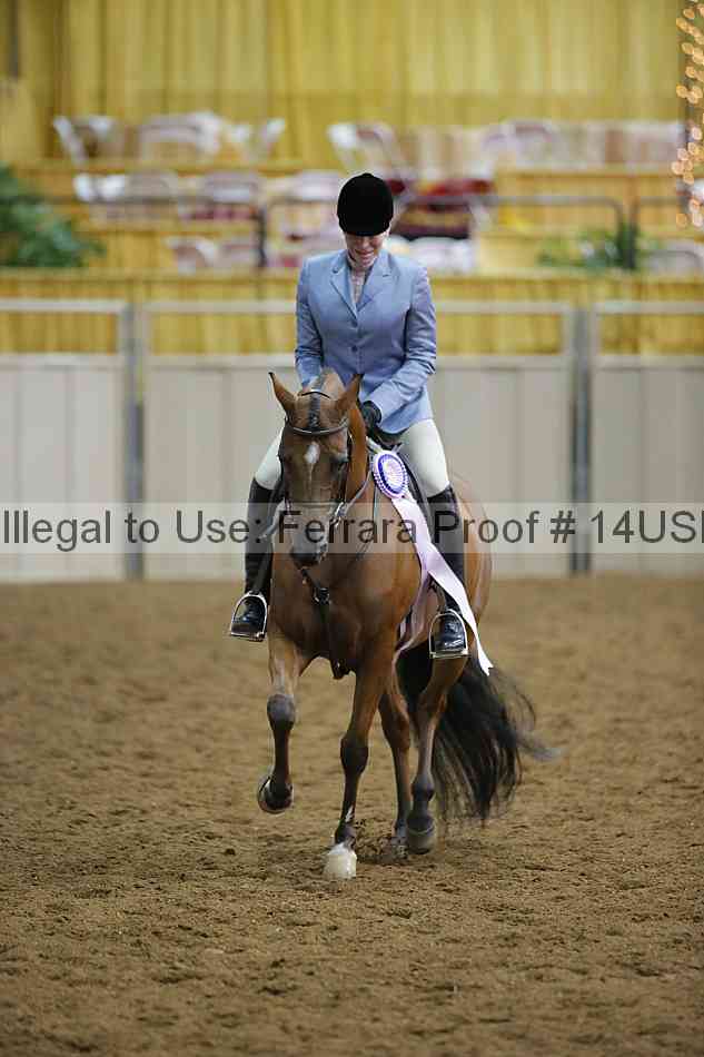 Proof 14usn_02968