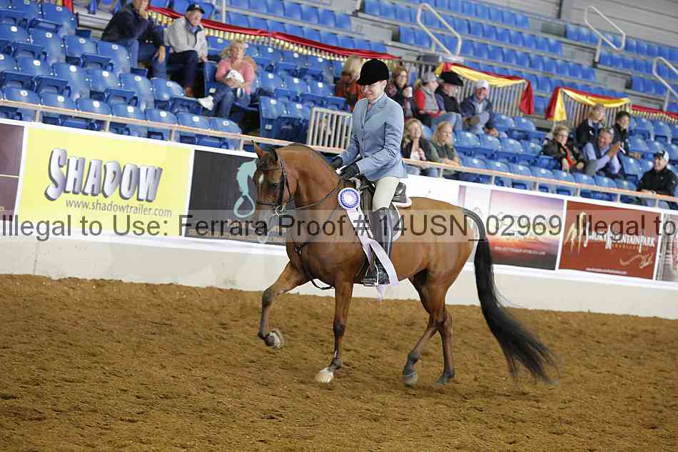 Proof 14usn_02969