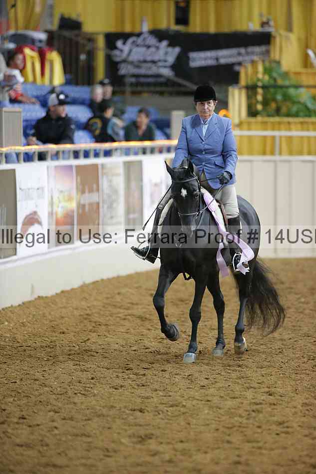 Proof 14usn_02975