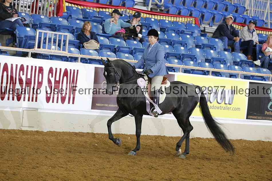 Proof 14usn_02977