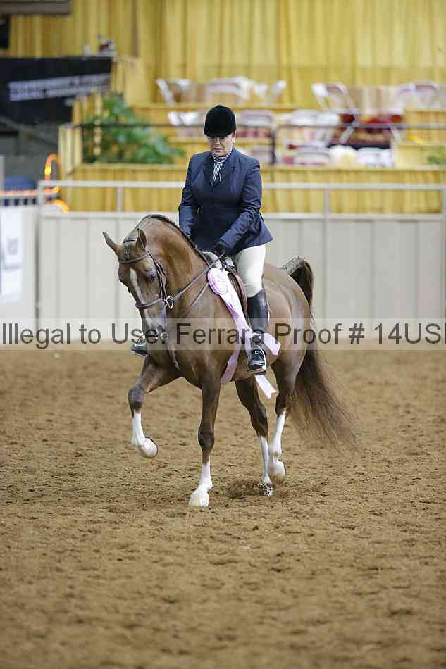 Proof 14usn_02985