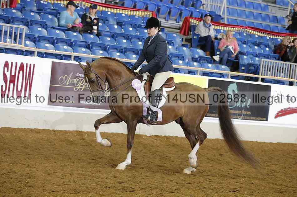 Proof 14usn_02988