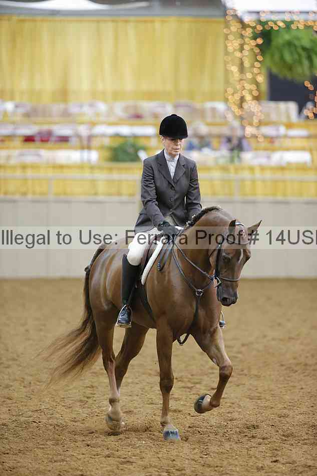 Proof 14usn_10786