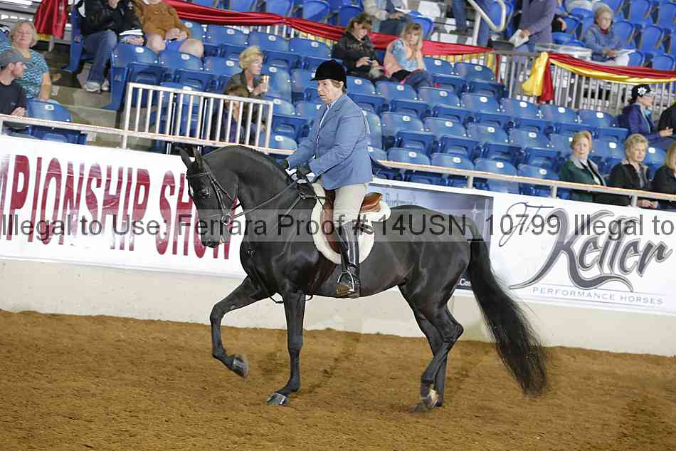 Proof 14usn_10799