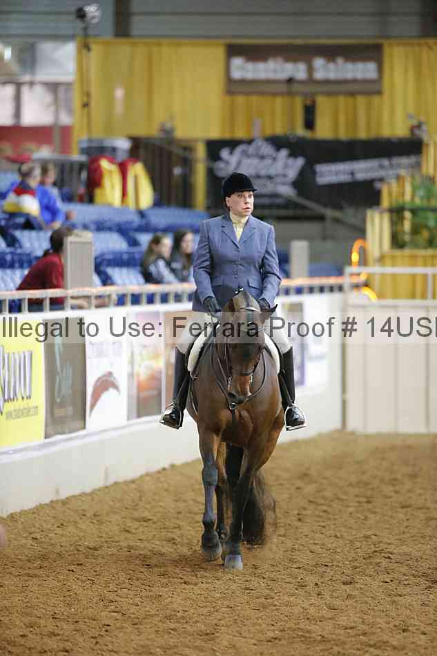 Proof 14usn_10800