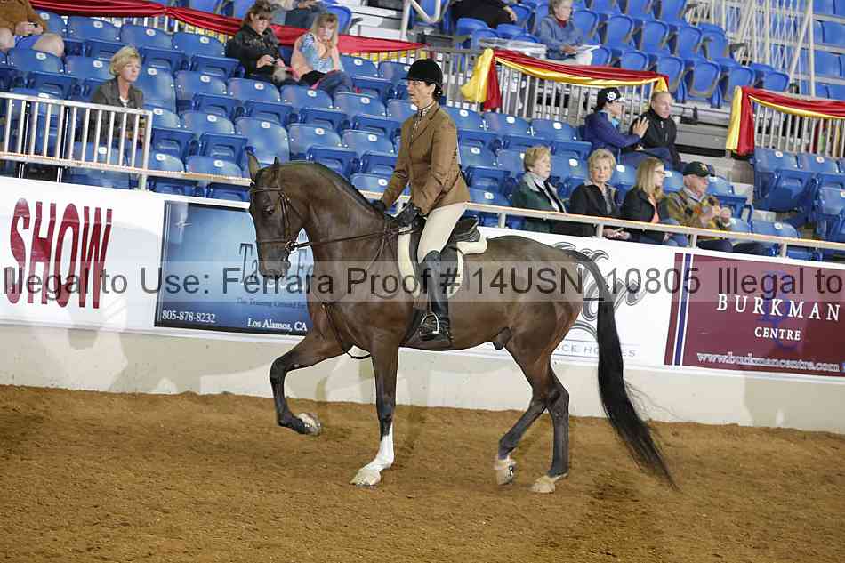 Proof 14usn_10805