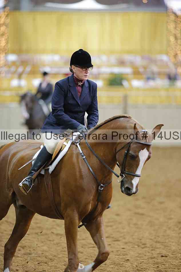 Proof 14usn_10806