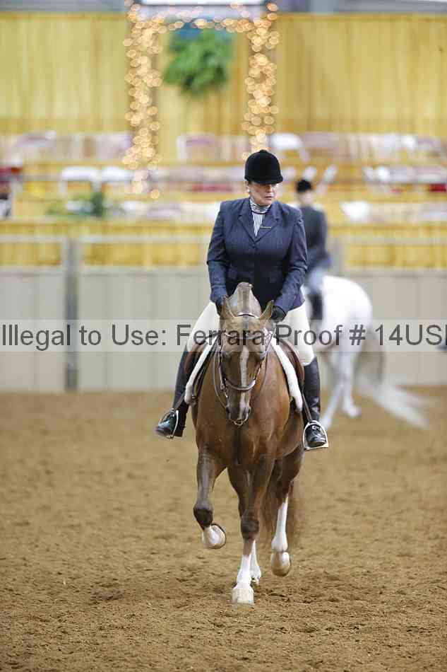 Proof 14usn_10808