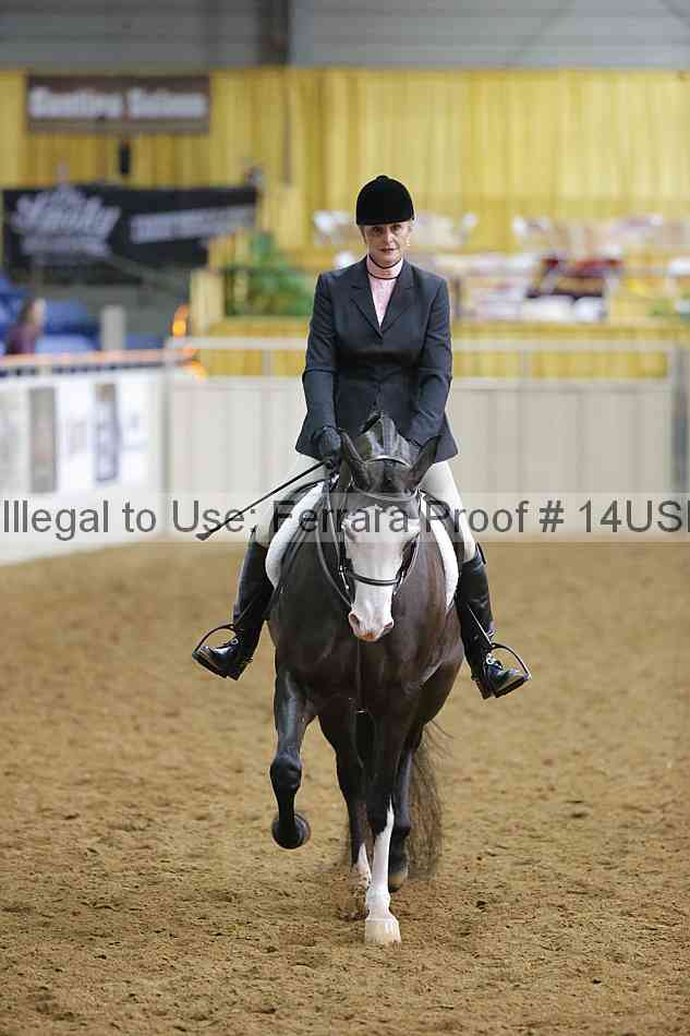 Proof 14usn_10816