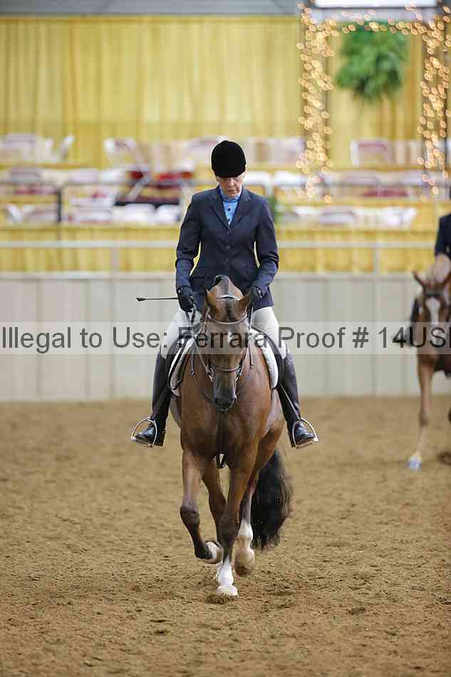 Proof 14usn_10817