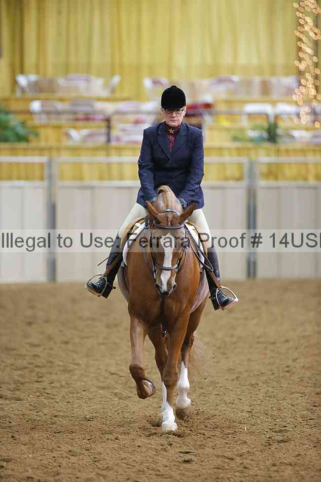 Proof 14usn_10820