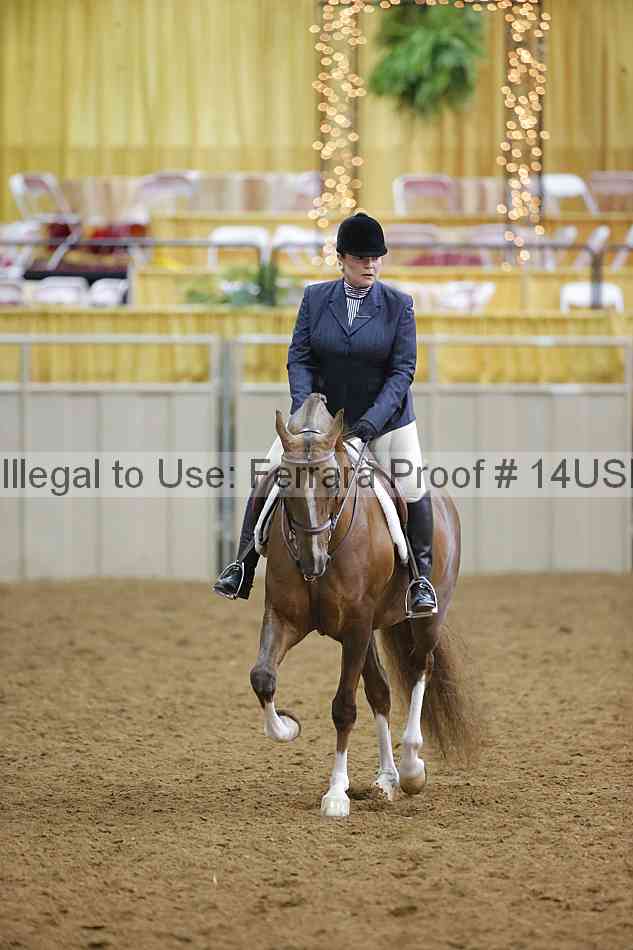 Proof 14usn_10823