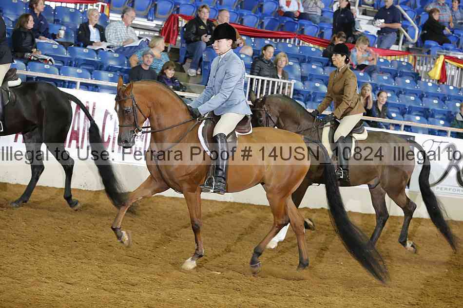 Proof 14usn_10824