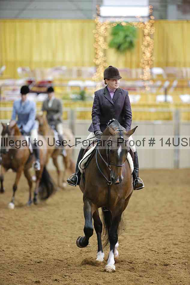 Proof 14usn_10829