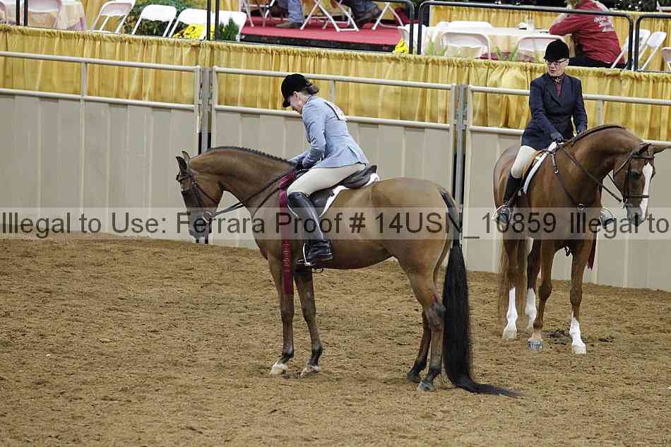 Proof 14usn_10859
