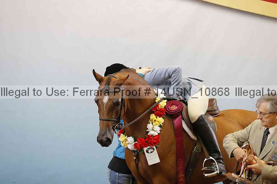 Proof 14usn_10868