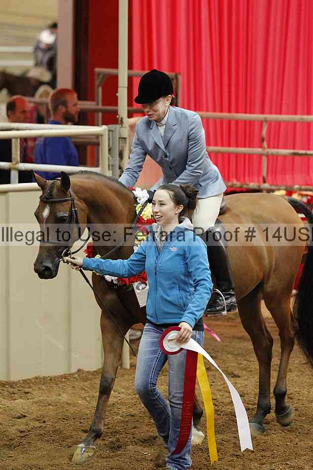 Proof 14usn_10875
