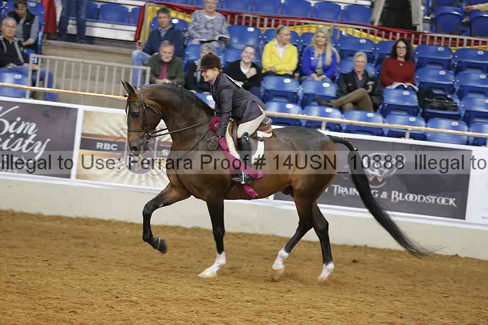 Proof 14usn_10888