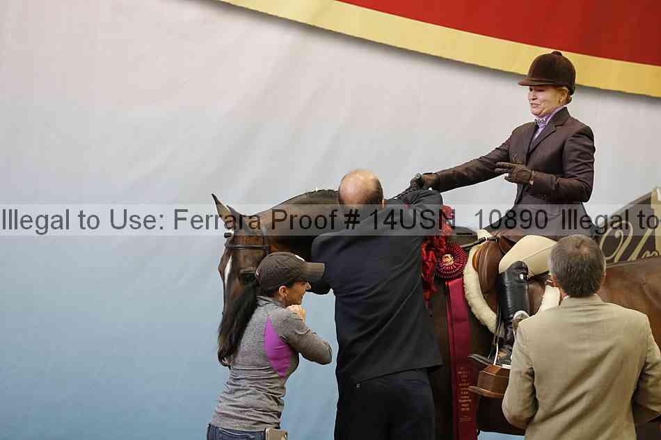 Proof 14usn_10890