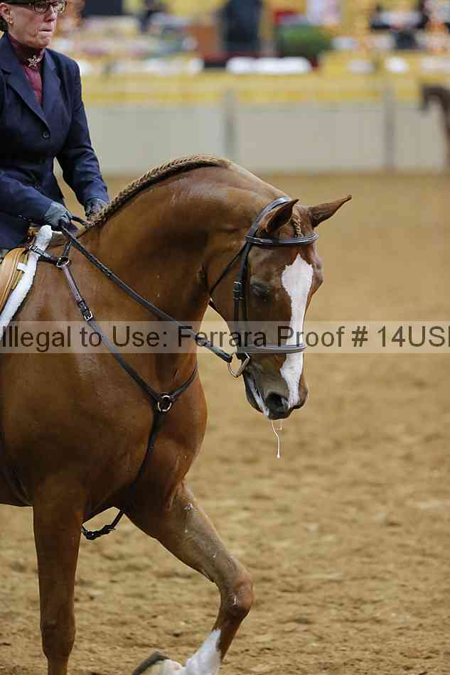 Proof 14usn_10922