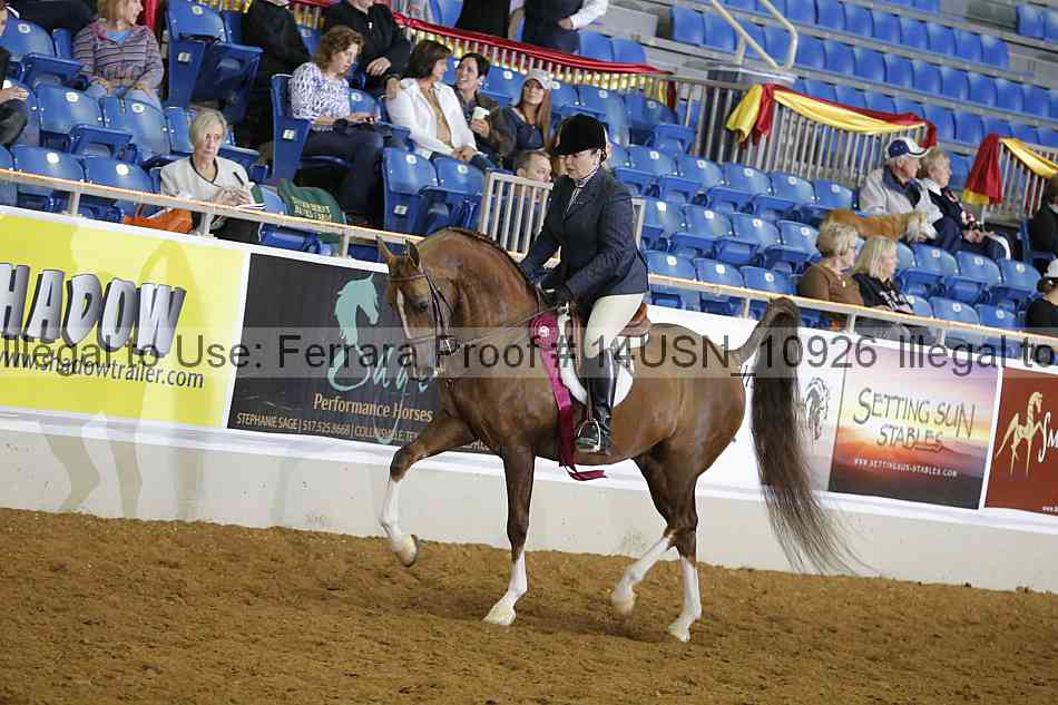 Proof 14usn_10926