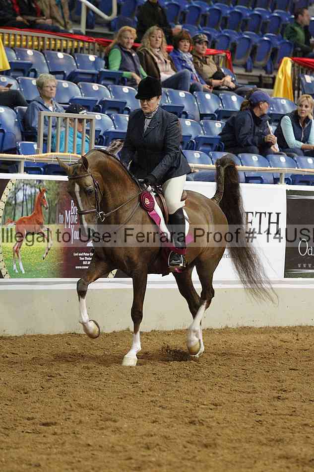 Proof 14usn_10932